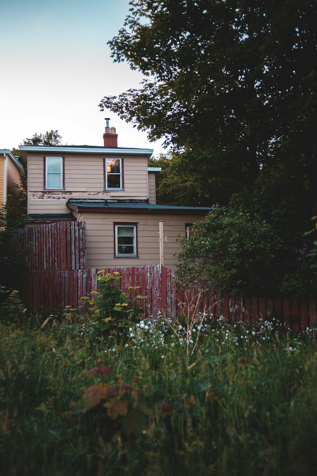 brown wooden fence near green trees during daytime