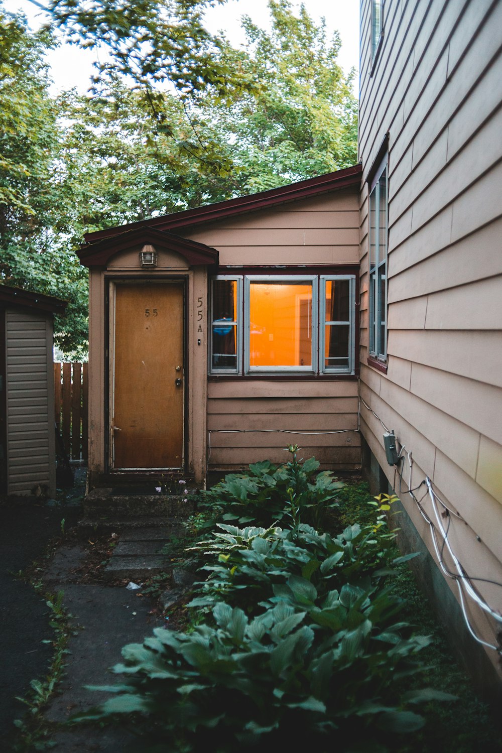 brown wooden door beside green plants