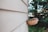 A coconut fiber hanging basket is attached to the side of a wooden house, positioned against a backdrop of lush green foliage. The focus is on the basket, with its earthy textures contrasting against the pastel siding of the house, while the trees in the background are slightly out of focus.