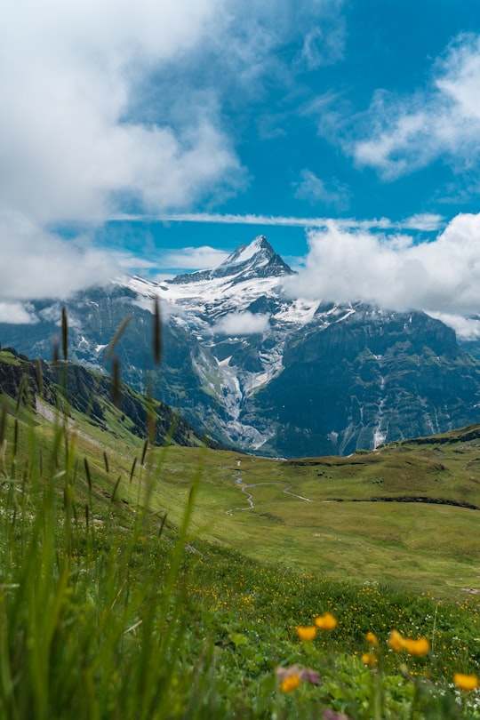 snow covered mountain under blue sky during daytime in Bachalpsee Switzerland