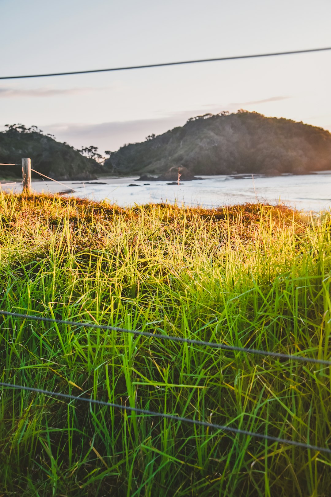 green grass field near body of water during daytime