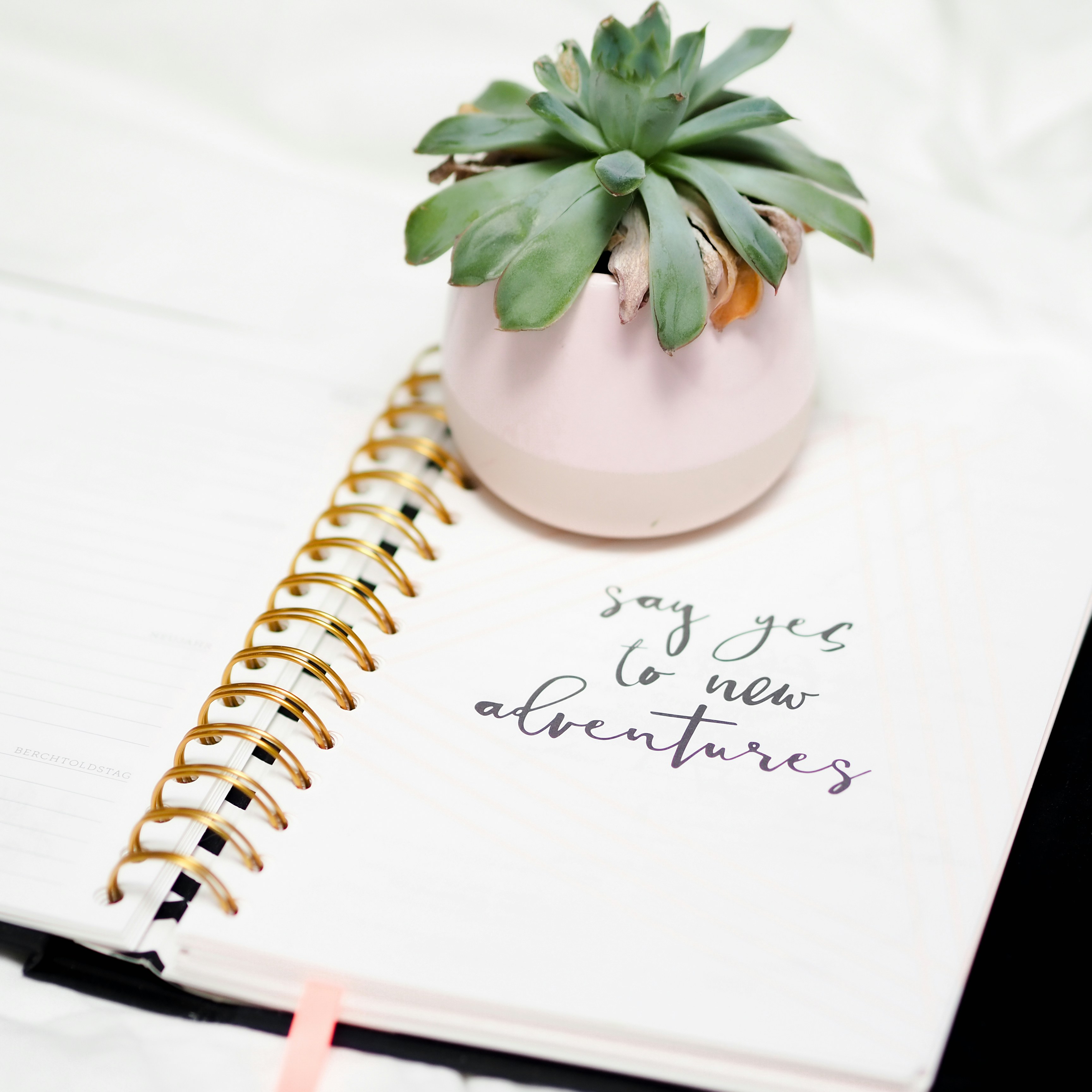 The Real Cost of Free Wi-Fi: What Hackers See When You Connect