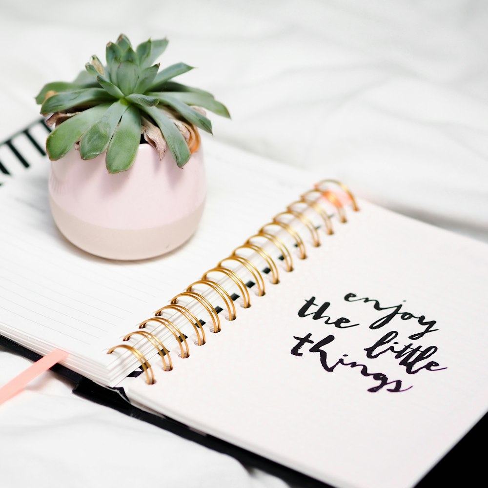 white spring notebook with green plant on white table