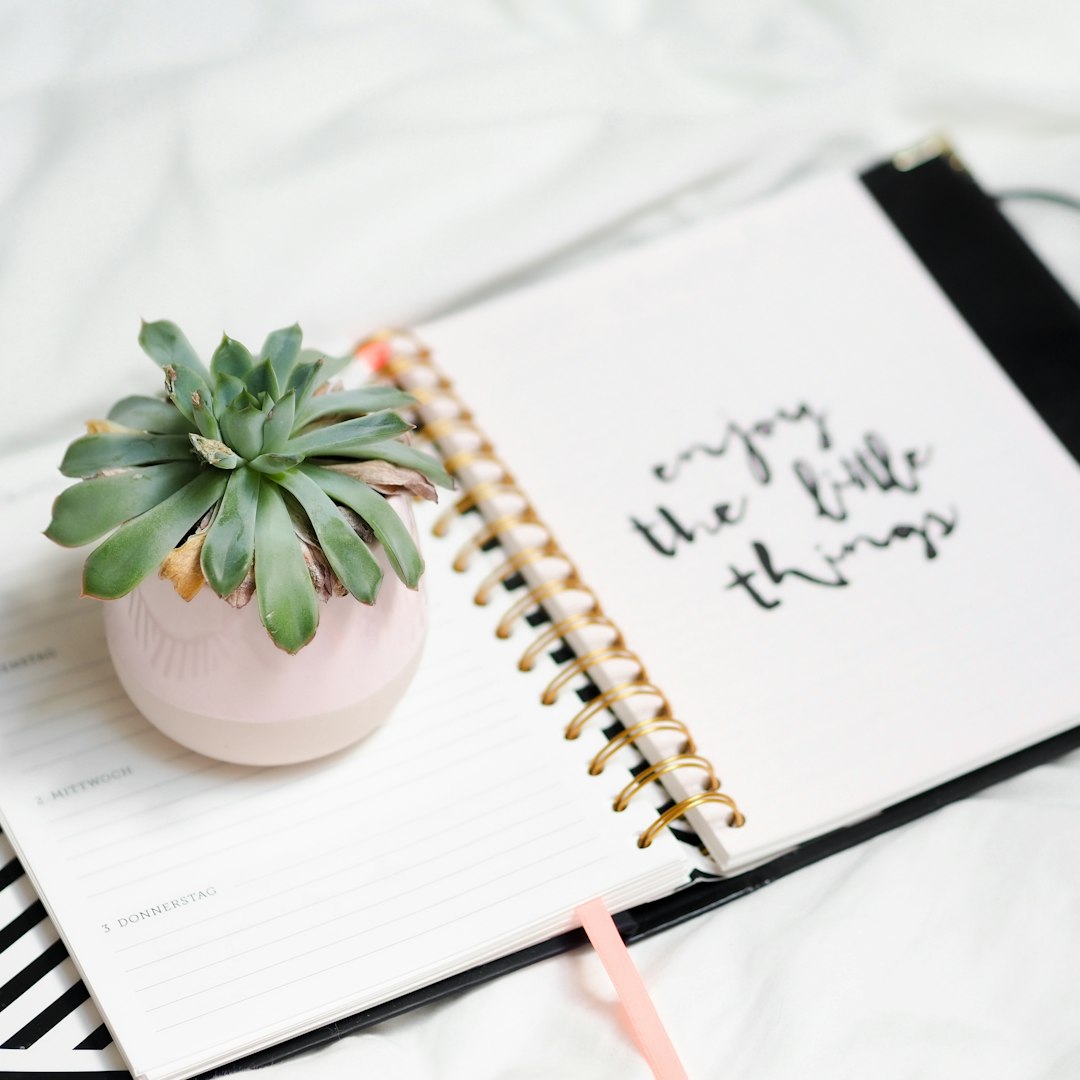 white spiral notebook with green succulent plant