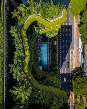 An aerial view of a city scene with a road bordered by a lush, green rooftop garden. The garden features meandering pathways, various plants, and a pool of water. There are several vehicles on the road adjacent to the building.