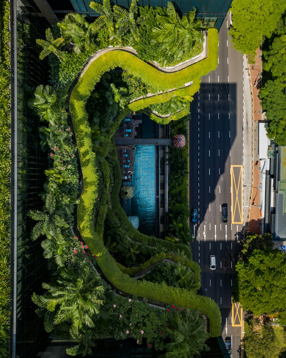 aerial view of green trees and green grass field