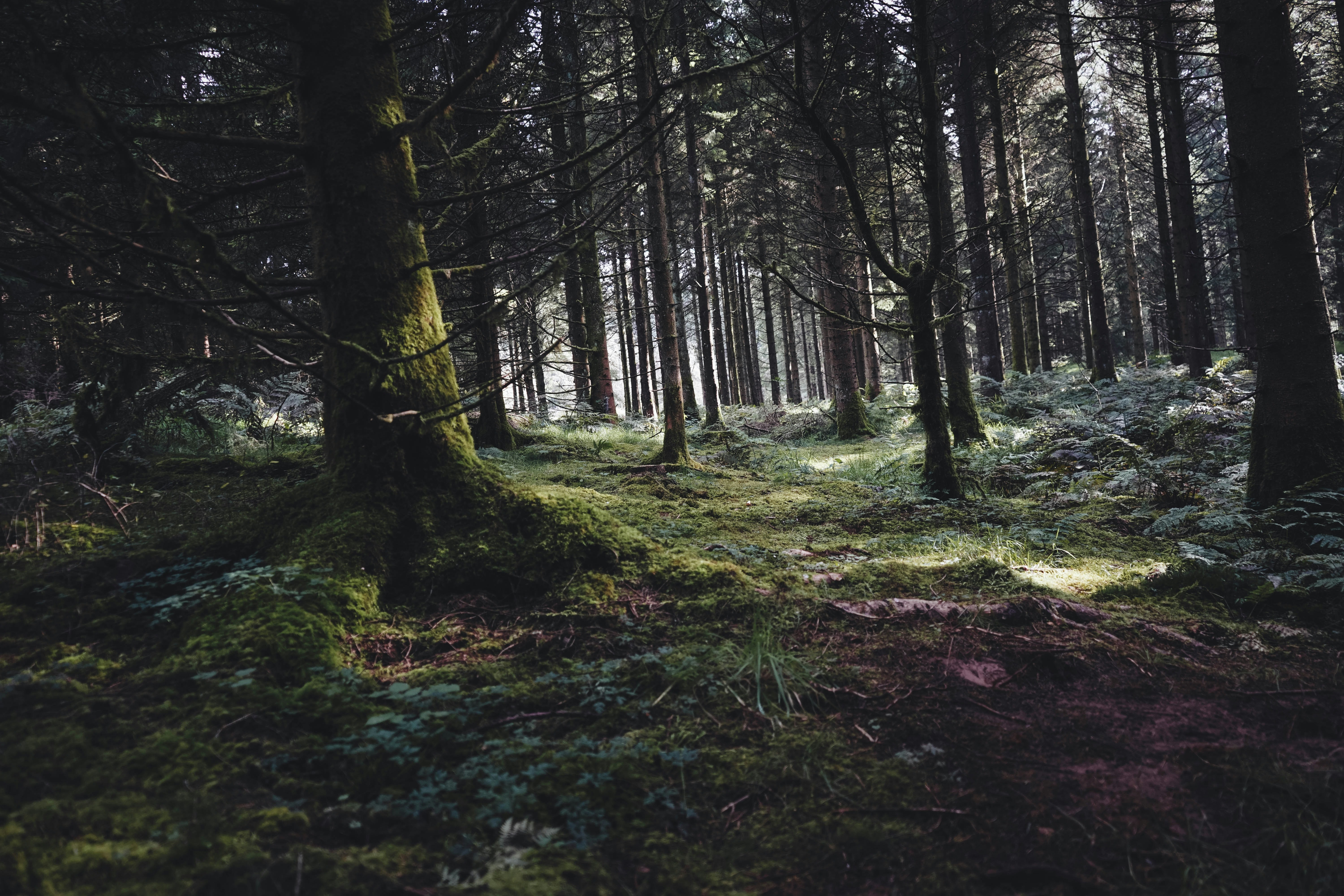 Photo by davidraymondreed