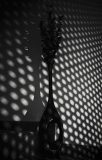 A tall, slender vase with a textured surface catching the sunlight.