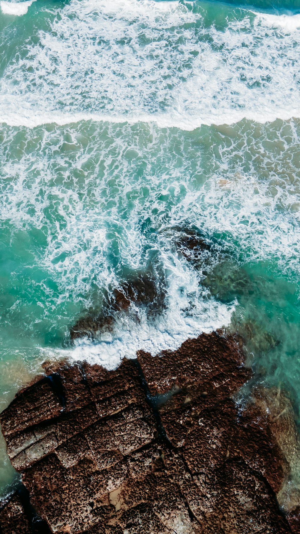 molo di legno marrone sullo specchio d'acqua durante il giorno