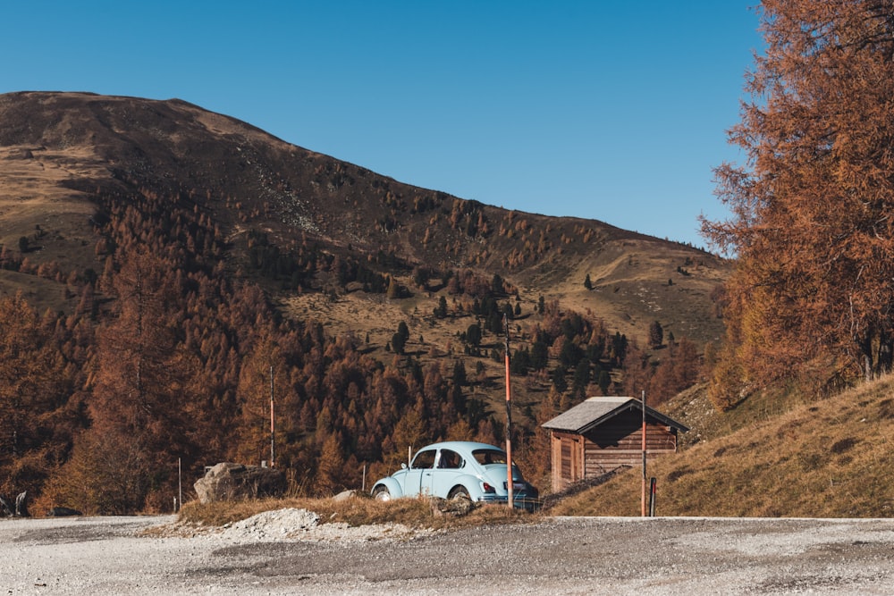 white and blue volkswagen beetle parked on gray asphalt road during daytime