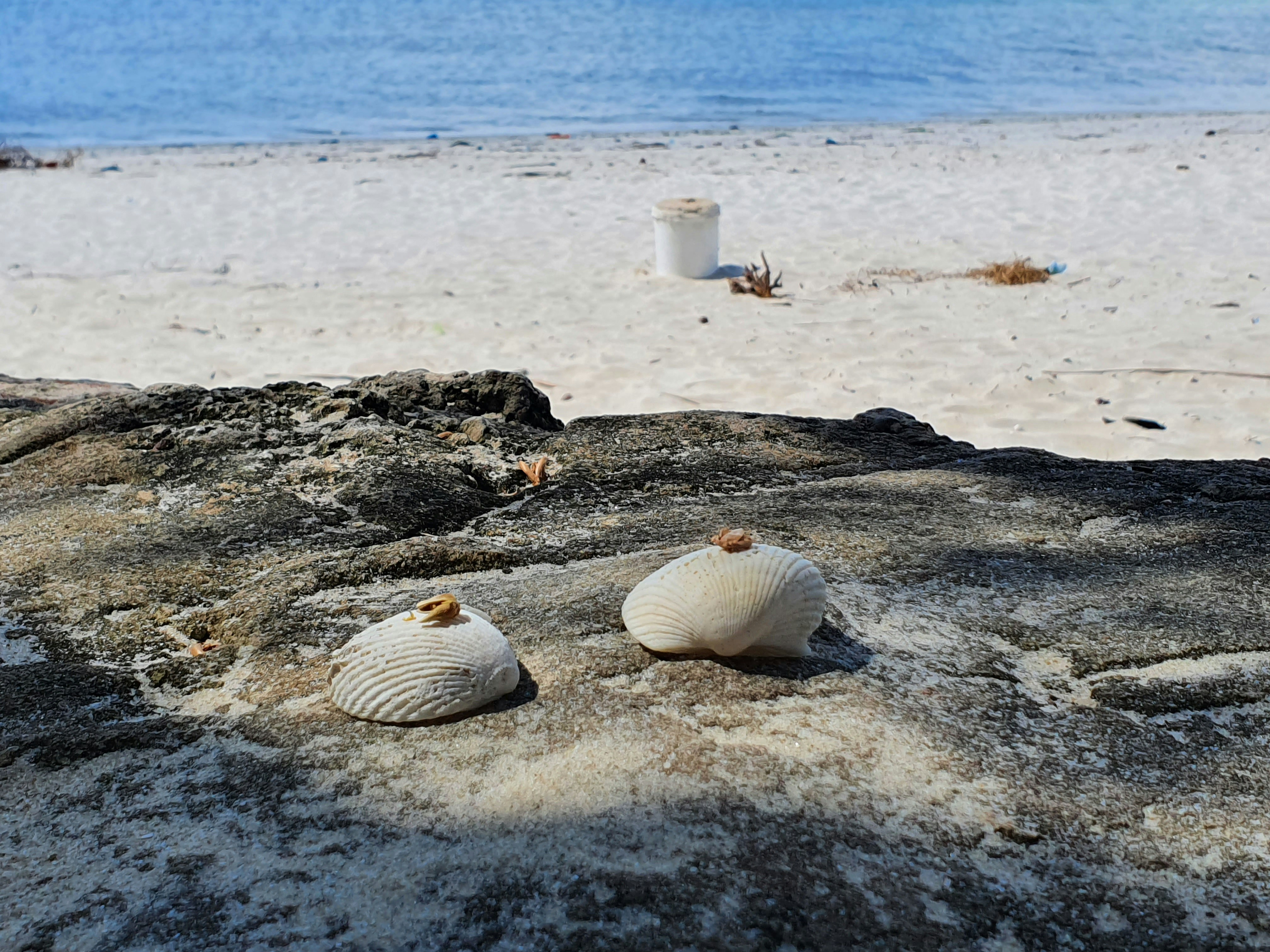 Image by deo Vincent via Unsplash