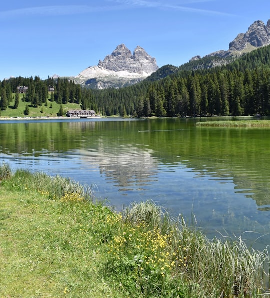 green trees near lake and mountain under blue sky during daytime in Drei Zinnen Nature Park Italy