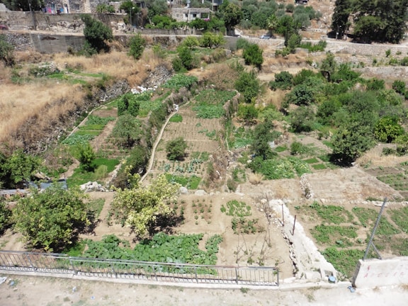 A map overlaying vegetation zones in a rural landscape.