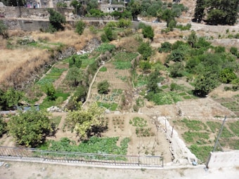 An aerial view of a patchwork of agricultural fields with varying shades of green and brown, interspersed with small trees and shrubs. Beyond the fields are buildings and a few trees, creating a rural landscape.