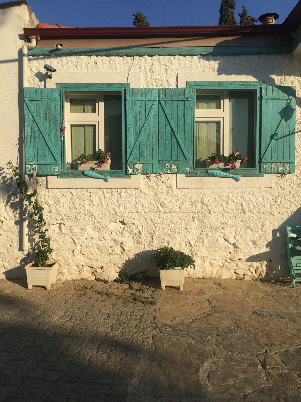 green and white concrete house