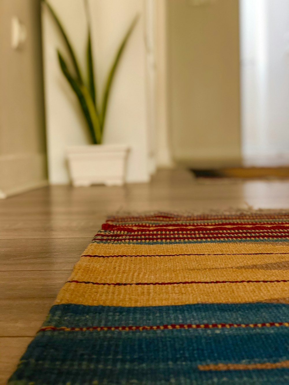 red blue and yellow striped rug on brown wooden floor