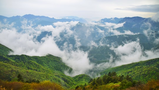 green mountains under white clouds during daytime in Shennongjia China