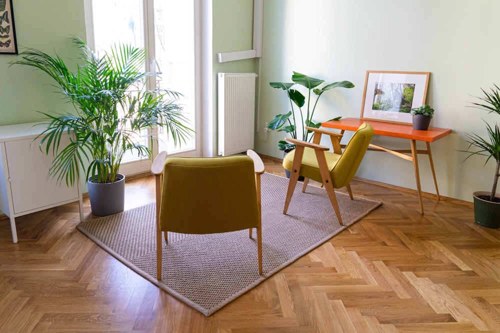 chaise en bois marron près de la plante en pot verte