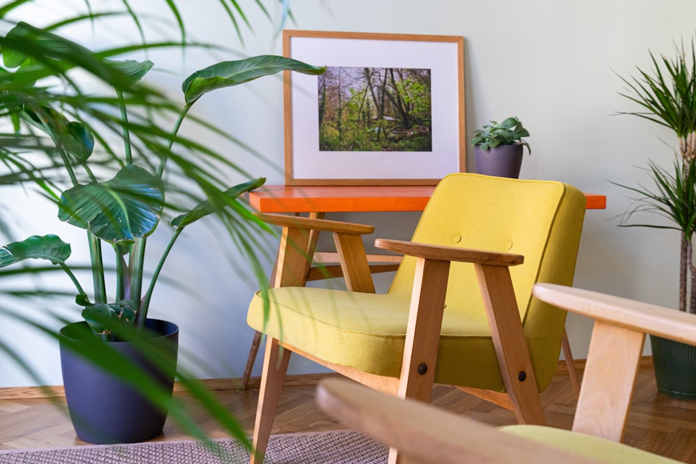 sedia di legno marrone accanto alla pianta verde