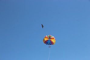 A vibrant, multicolored parachute floats in a clear blue sky with a bird flying nearby. The parachute is tethered to individuals engaged in parasailing, creating a sense of adventure.