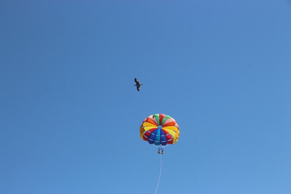 red yellow and blue kite flying in the sky during daytime