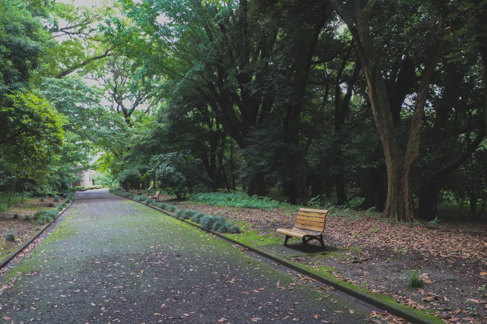 灰色のコンクリートの道に茶色の木製のベンチ