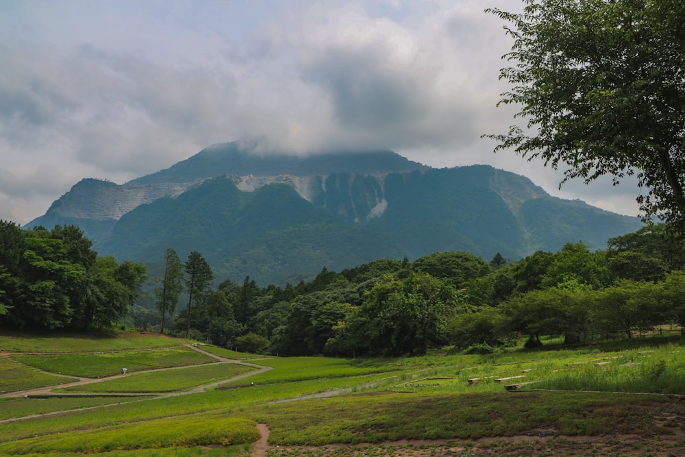 낮에는 흰 구름 아래 푸른 산 근처의 푸른 잔디 밭