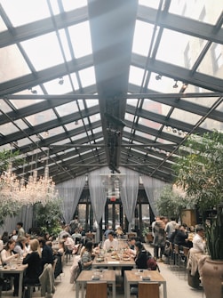 A spacious restaurant featuring a glass ceiling with natural light pouring in. Diners are seated at wooden tables, enjoying meals in a lively atmosphere. Elegant chandeliers and lush green plants add to the ambiance, creating a modern and inviting environment.