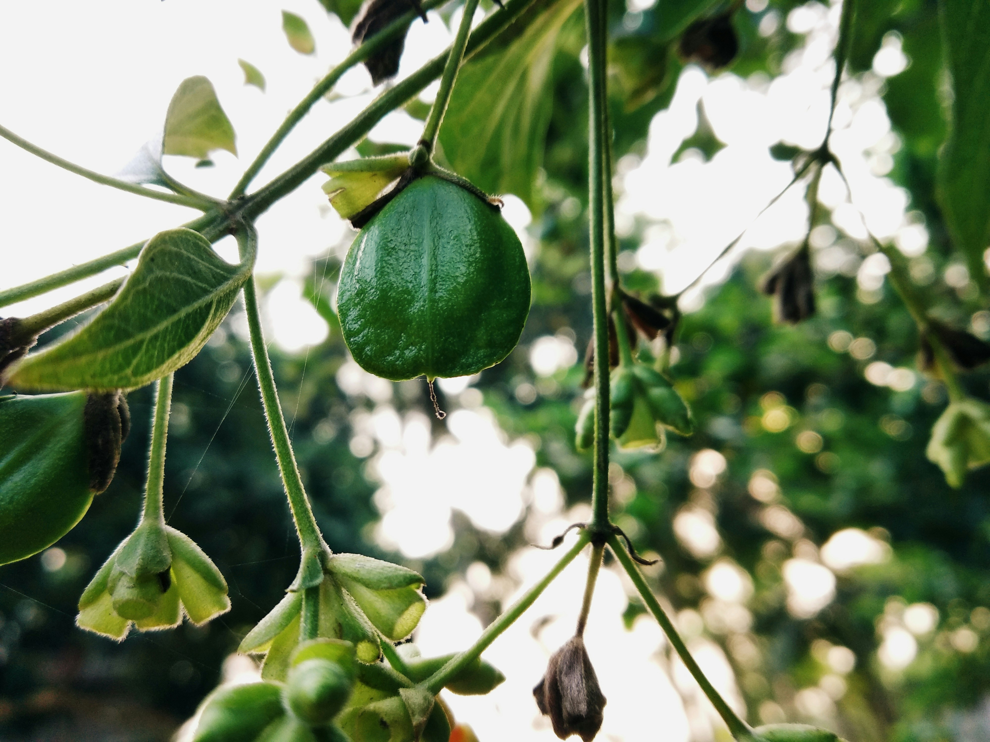 Photo by md_shuaib_islam