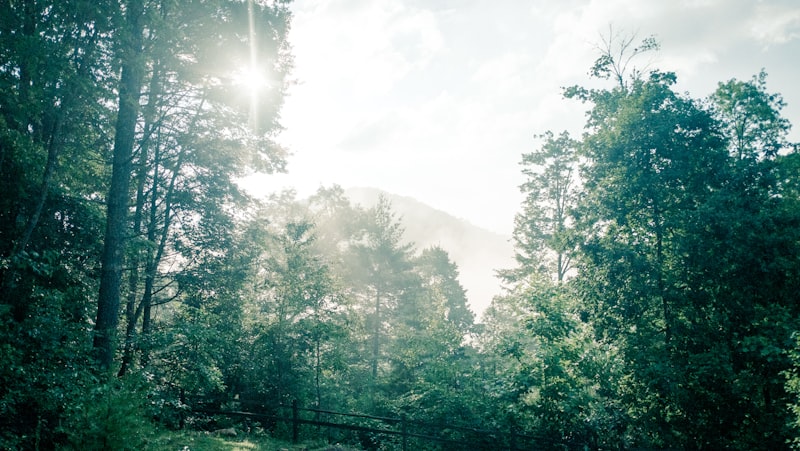 Georgia landscape