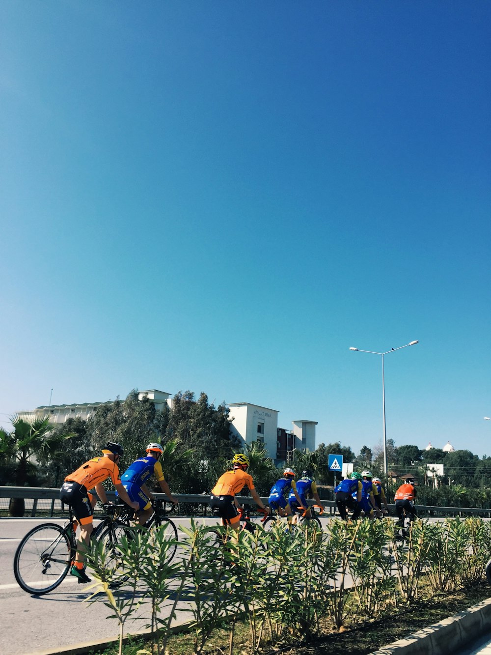 people riding bicycles on green grass field during daytime