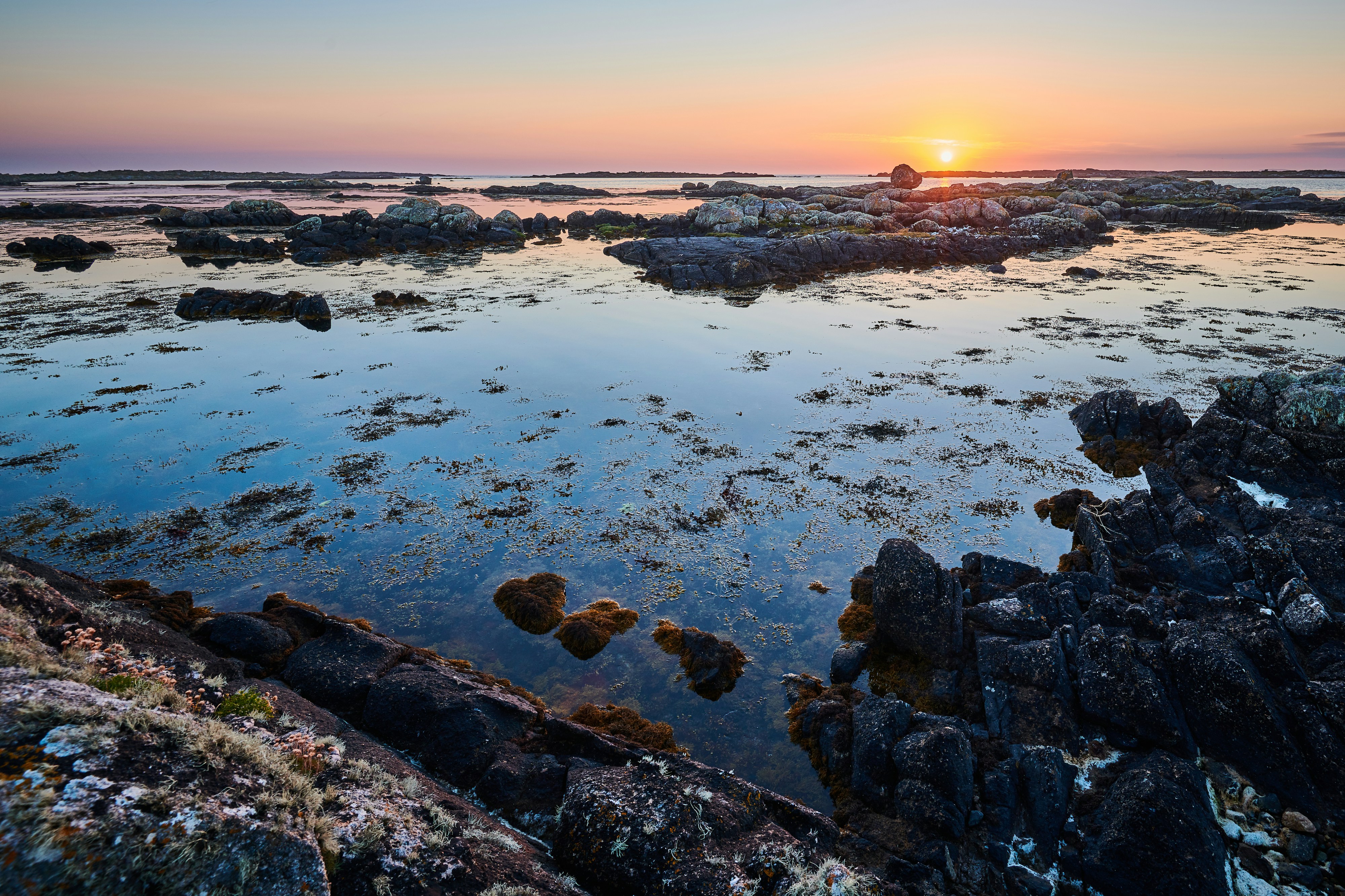 Photo by johnygoerend