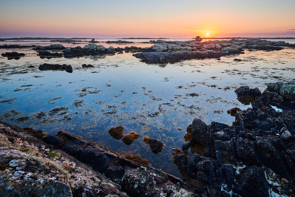 rocky shore with rocks on water during sunset