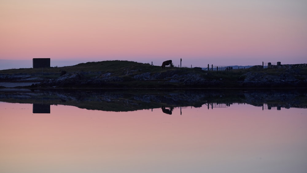 silhouette of person standing on rock formation near body of water during sunset