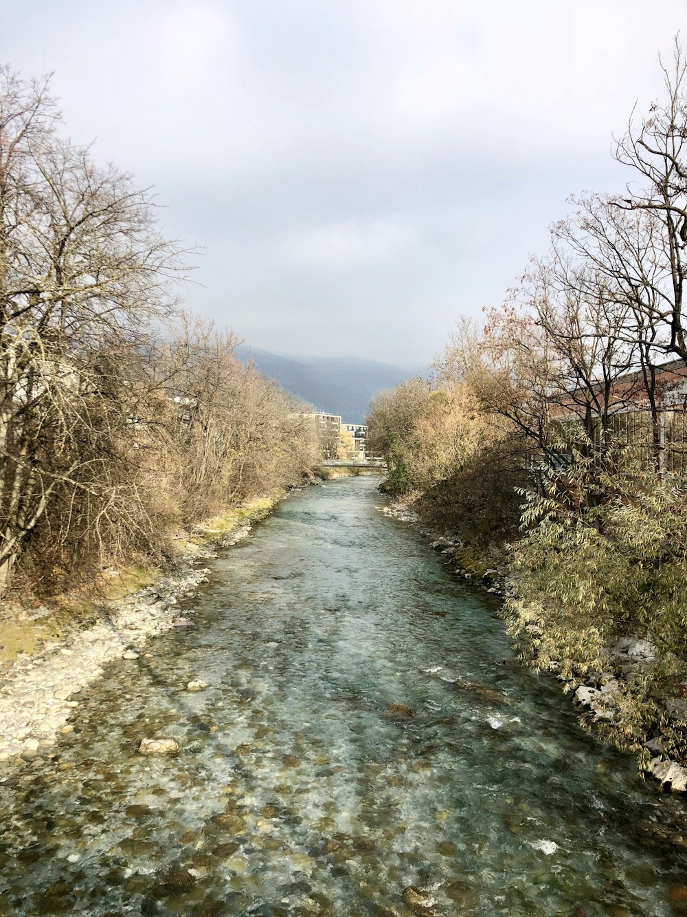 green river between brown trees under blue sky during daytime