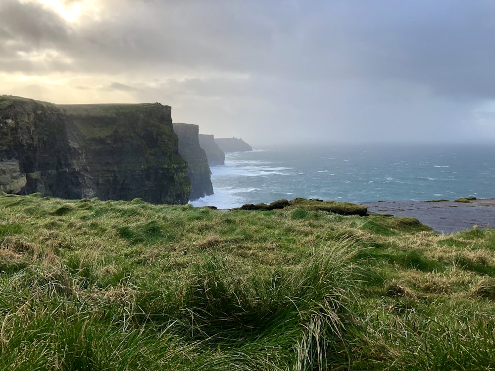 green grass on cliff by the sea under white clouds during daytime