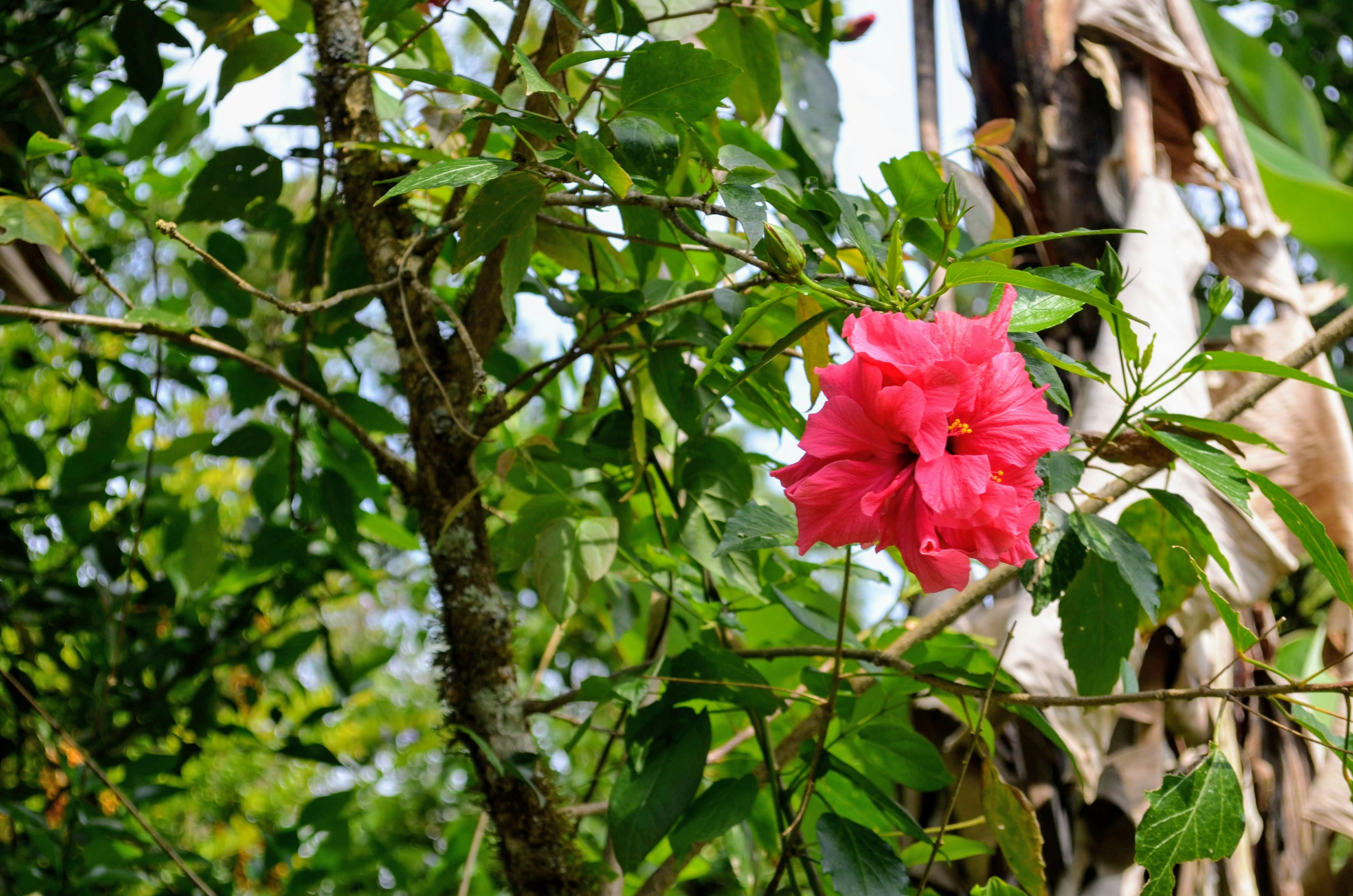 Photo by _sereneframes