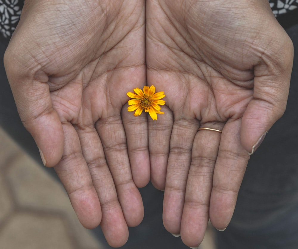 yellow flower on persons hand