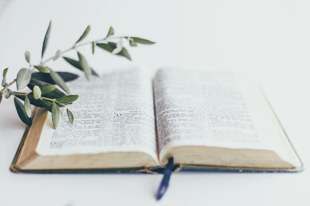 Close-up of an open book resting on a wooden table, with green leaves gently framing the scene.