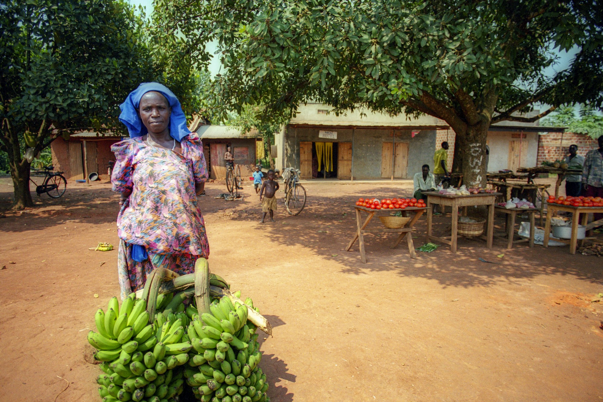 Discovering Kampala: A Local's Guide
