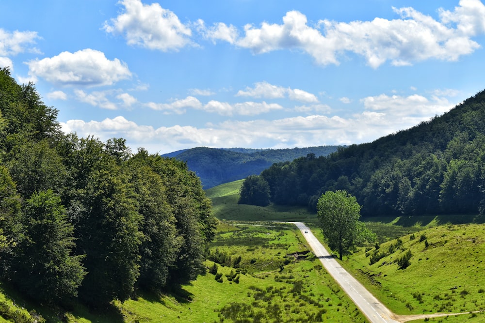 green trees on green grass field under blue sky during daytime