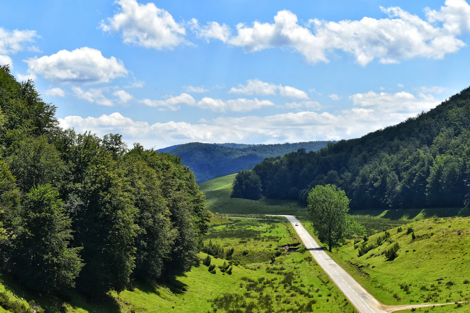 The image depicts a winding road cutting through a lush, green valley surrounded by trees and rolling hills. The road is flanked on both sides by an abundance of greenery, creating a sense of depth and perspective. The sky above is a clear blue with fluffy white clouds scattered across it.