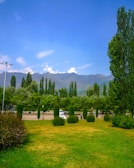 A lush green landscape featuring a well-maintained grassy area with manicured hedges and trees, set against a backdrop of tall, rolling mountains under a bright blue sky. The scene is peaceful and serene, with a few parked cars visible in the distance.