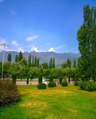 A lush green landscape featuring a well-maintained grassy area with manicured hedges and trees, set against a backdrop of tall, rolling mountains under a bright blue sky. The scene is peaceful and serene, with a few parked cars visible in the distance.