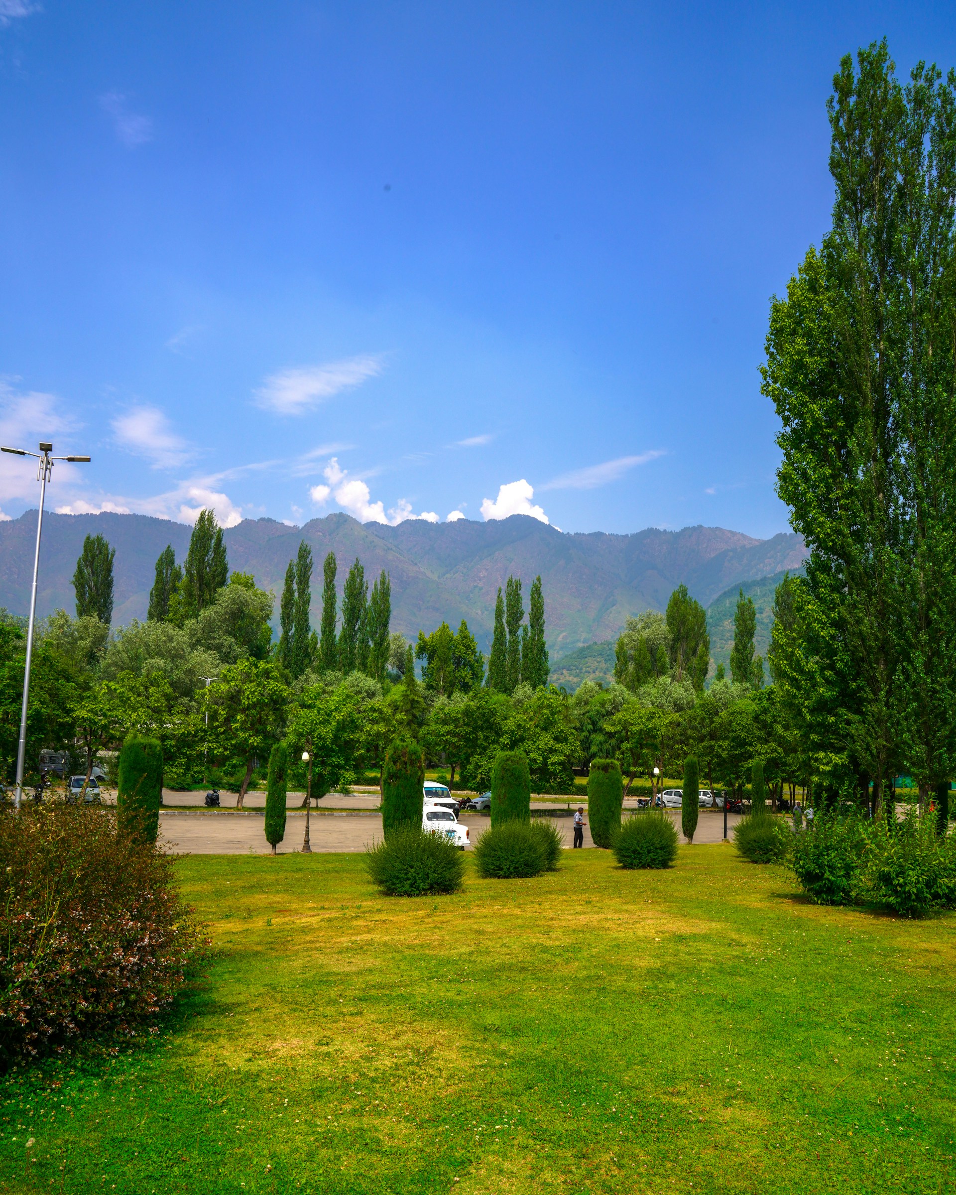 woman wearing yellow long-sleeved dress under white clouds and blue sky during daytime
