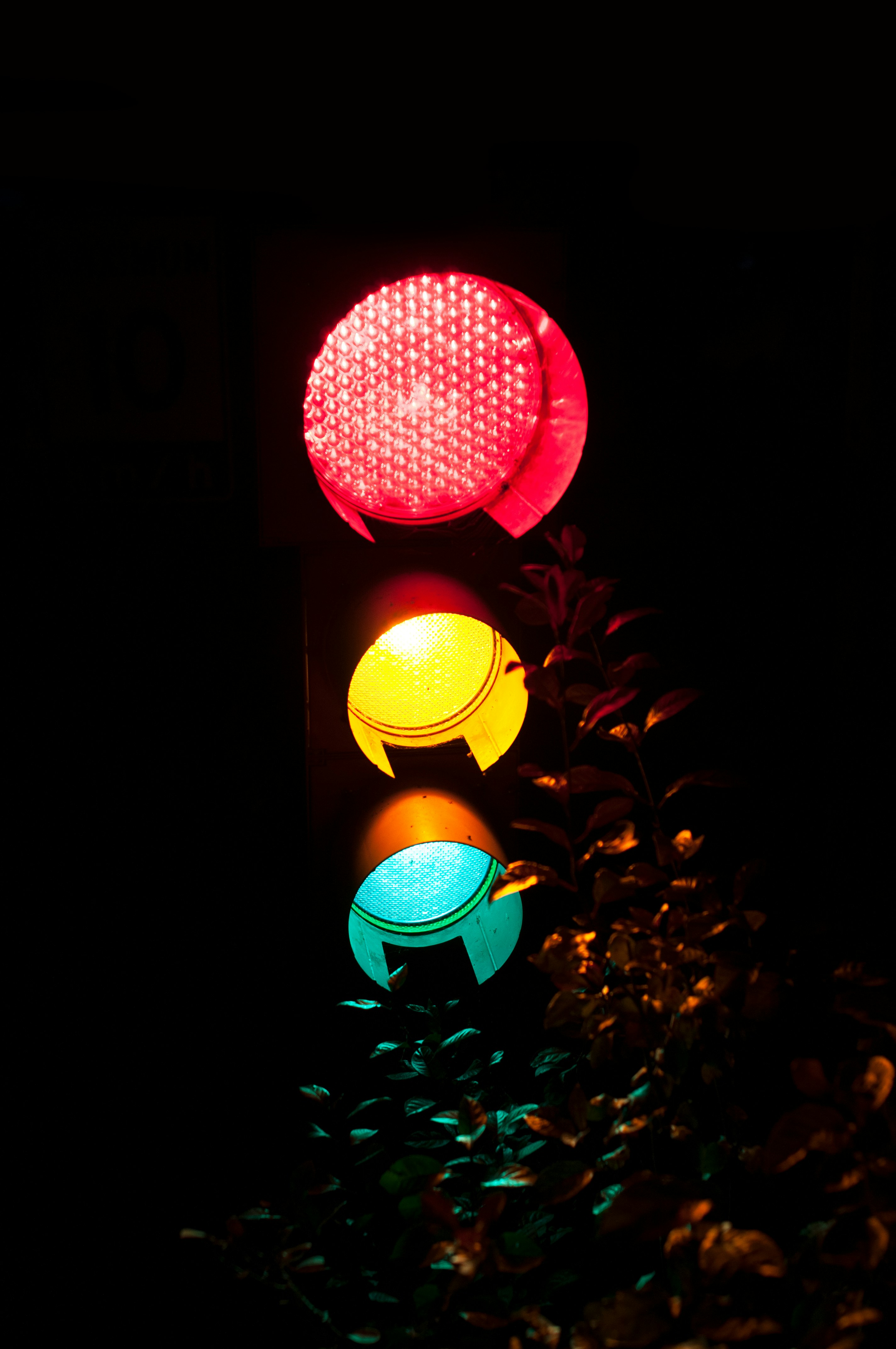 red green and yellow light