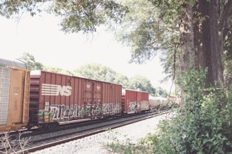 A freight train with graffiti on the side travels down a set of railway tracks, surrounded by lush greenery and trees under a bright sky.
