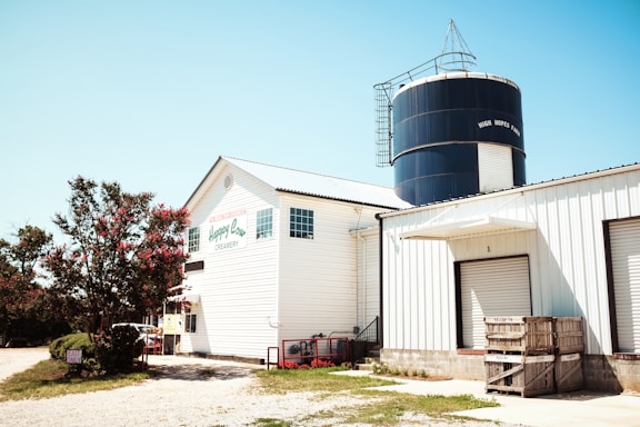 white and gray concrete building