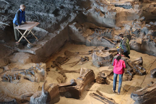 A scientist examining ancient human skeletal remains in a bright research lab.