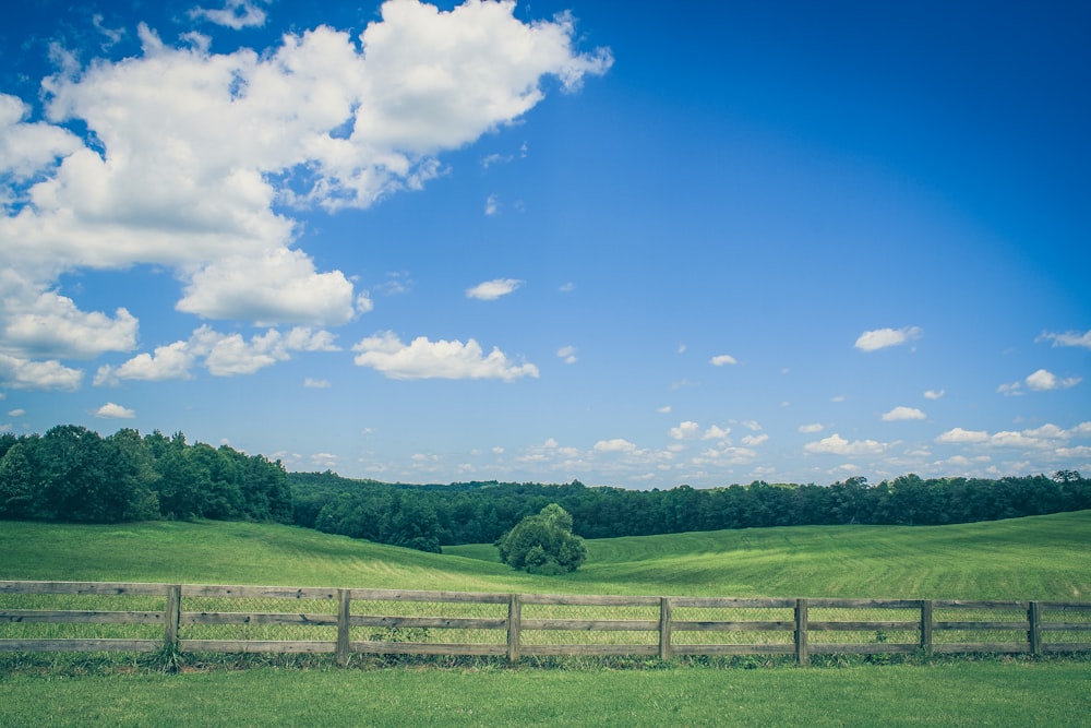 green grass field under blue sky during daytime